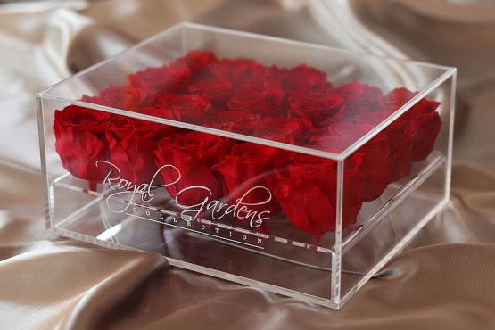 Crvene ruže u modernoj prozirnoj kutiji - 20 cvjetova